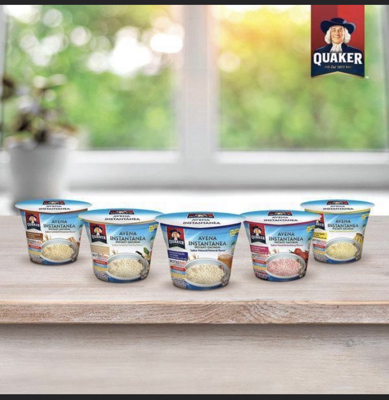 Quaker Instant Oatmeal Cups Original Flavor 1.60 oz (pack of 1)