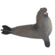 thumbnail image 5 of Modelo de figuras de animales marinos Jadeshay Juguete de baño de animal marino, 5 of 14