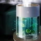 thumbnail image 5 of Humidificador de Niebla Fría, Difusor Ultrasónico con Luces Cambiantes de Color, Capacidad de 2000ml, Tres Modos de Rociado, Alimentado por USB para Hogar, Coche, Oficina, Viaje, 5 of 9