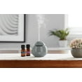 Mainstays 100 Pure Essential Oil 3 Piece 50 mL Diffuser Set, Gray