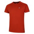 thumbnail image 2 of Dare 2B T-Shirt Homme Persist Marl, 2 of 4