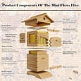 thumbnail image 3 of Generic Self-Flowing Beehive Starter Kit with Observation Window Spout, 3 of 6