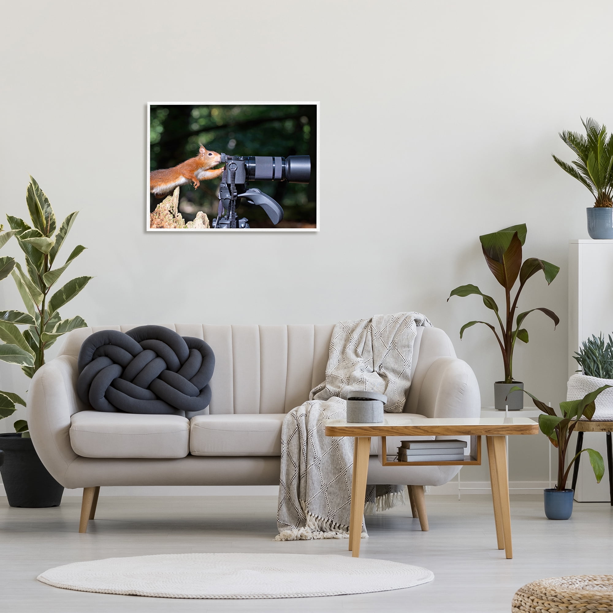 Stupell Industries Funny Squirrel Photographer Animals & Insects Photography White Framed Art Print Wall Art, 30 x 24