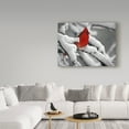thumbnail image 3 of J.D. Mcfarlan 'Cardinal In Snow' Canvas Art, 3 of 4