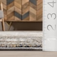 thumbnail image 2 of nuLOOM Charvi Distressed Medallion Fringe Area Rug, 5' x 7' 10", Charvi Light Brown, 2 of 8
