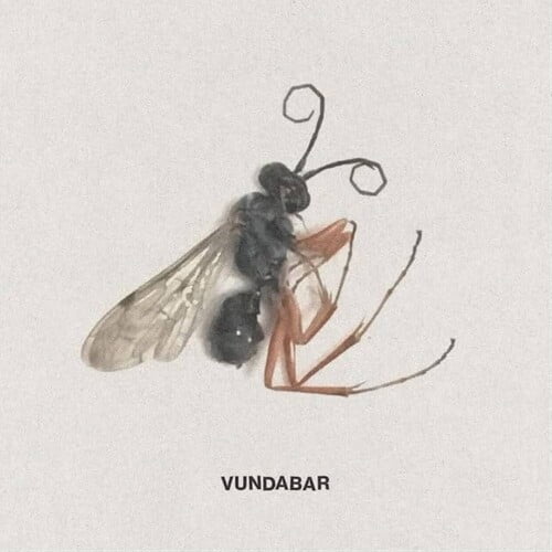 Vundabar - Good Old - Music & Performance - Vinyl