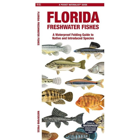 A Pocket Naturalist Guide: Florida Freshwater Fishes : A Waterproof Folding Guide to Native and Introduced Species (Other)