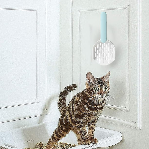 Cat sand walmart top