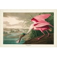 thumbnail image 2 of Audubon, John James 14x11 Gold Ornate Wood Framed with Double Matting Museum Art Print Titled - Pl 321 Roseate Spoonbill, 2 of 4