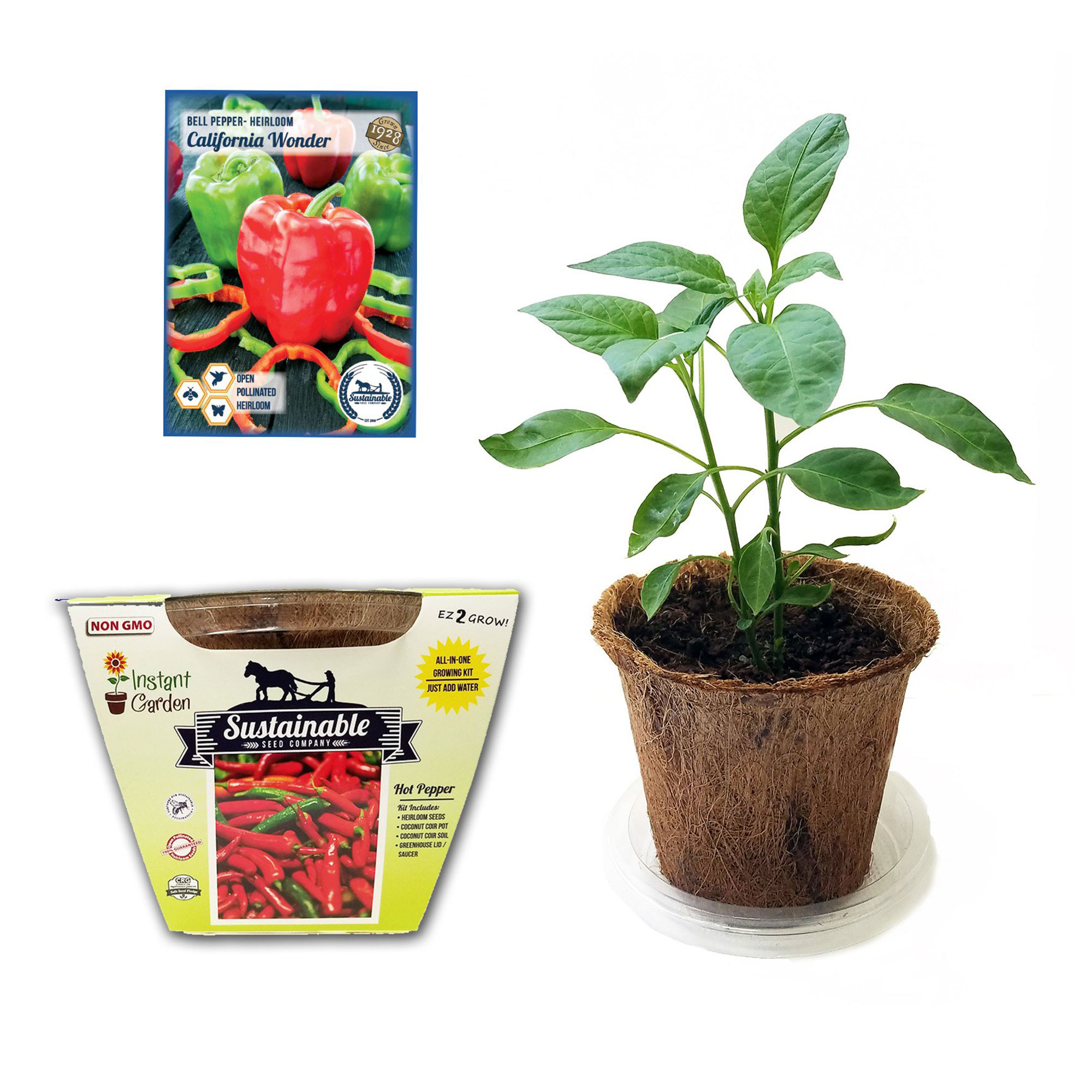 Easy to Grow Peppers AllinOne Indoor Seed Starter Kit Includes