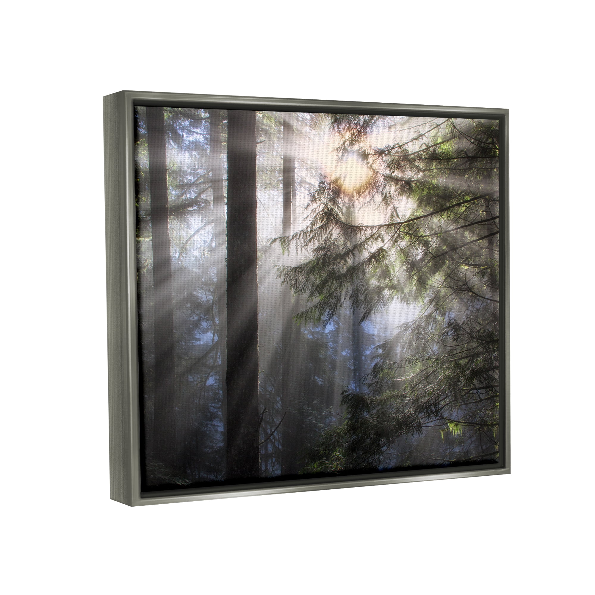Stupell Industries Forest Sun Rays Nature Scenery Landscape Photography Gray Floater Framed Art Print Wall Art