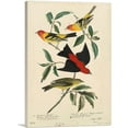 thumbnail image 1 of ARTCANVAS Louisiana Scarlet Tanager Canvas Art Print by John James Audubon - Size: 40" x 26" (1.50" Deep), 1 of 9
