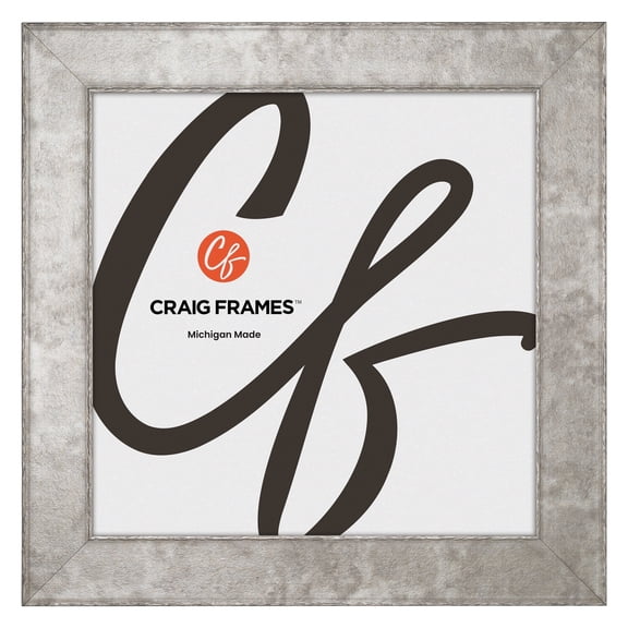 Craig Frames Starlight, 22x22 Picture Frame, Silver