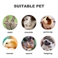 thumbnail image 7 of 12pcs Pet Chewing Molar Block Toys 12pcs Rectangle Lava Block Chew Toy Molar Teeth Mineral Stone Chinchilla Teeth Grinding Molar Lava Block Stone, 7 of 7