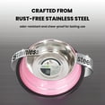 thumbnail image 6 of Iconic Pet Color Splash Stripe Non-Skid Pet Bowl, 8 Oz, Pink, 6 of 9