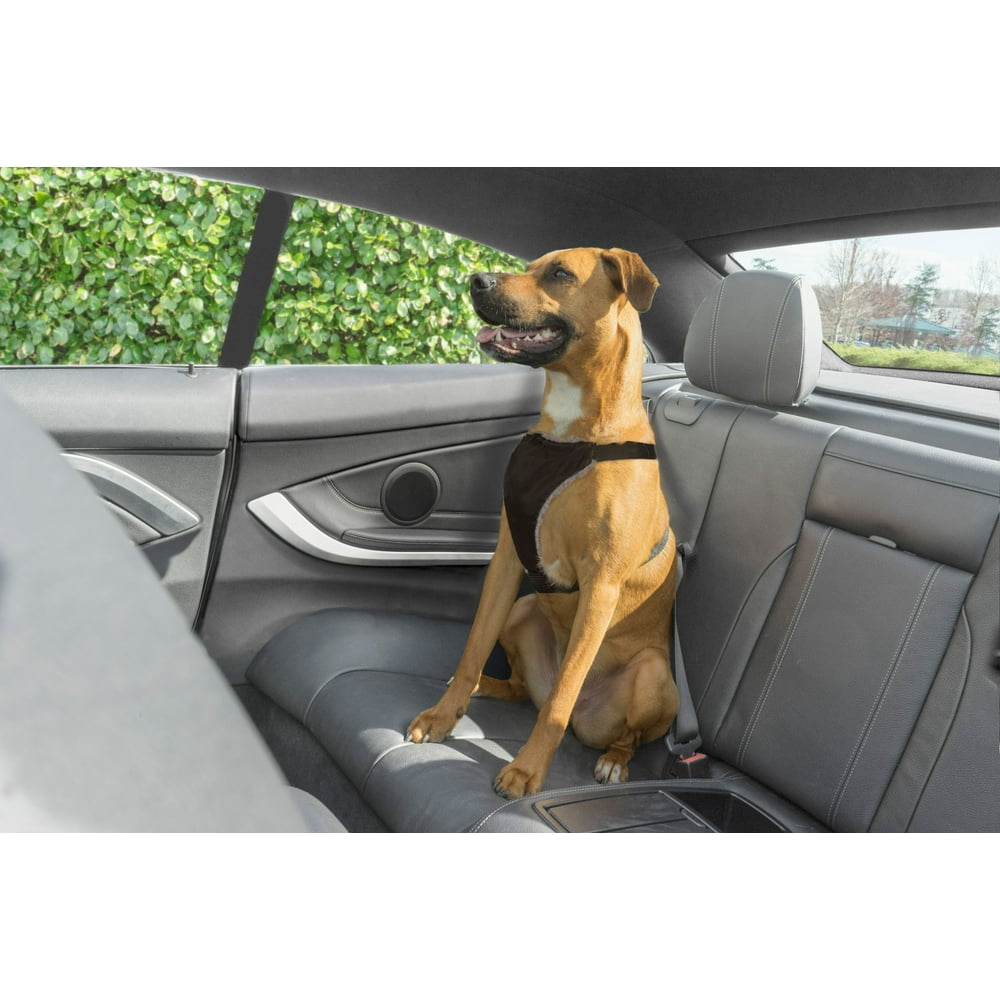 Premier Pet Travel Hound Car Dog Harness