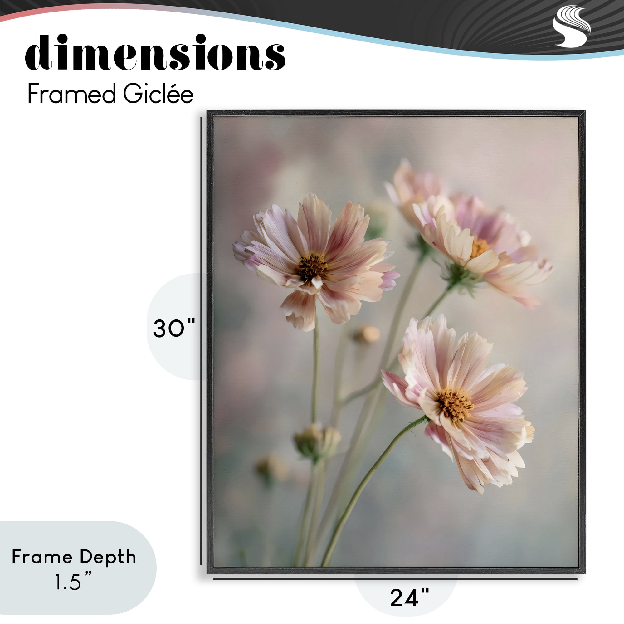 Stupell Industries Pink Daisies Close Up Black Framed Giclee Art, design by Franklyn Gregory