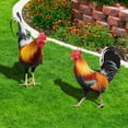 thumbnail image 4 of Estatua de pollo y gallo, decoración de jardín al aire libre, figura artística, escultura, novedad de 2023, 4 of 4