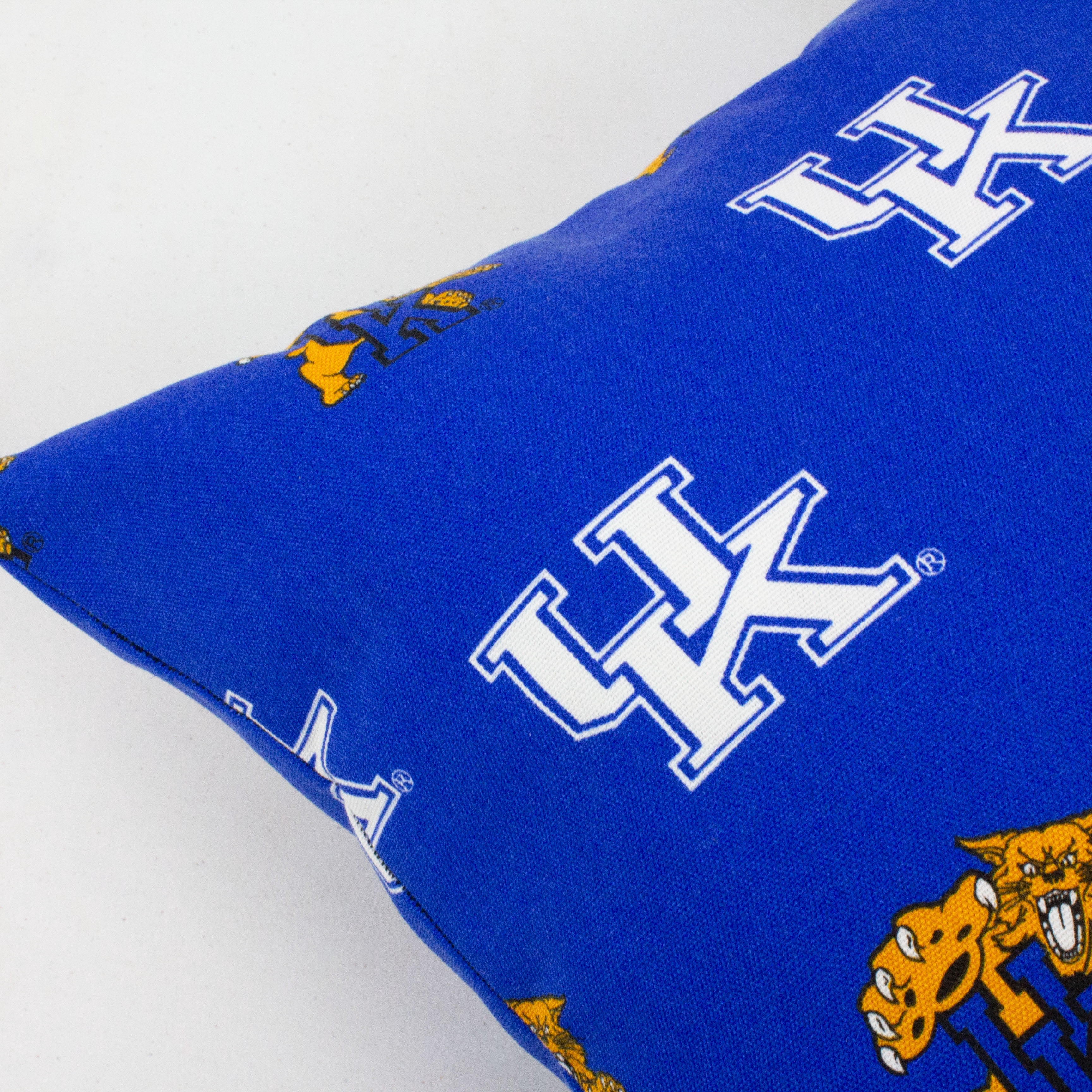Kentucky Wildcats College Covers Indoor or Outdoor Decorative Pillow Pair, 16 in x 16 in