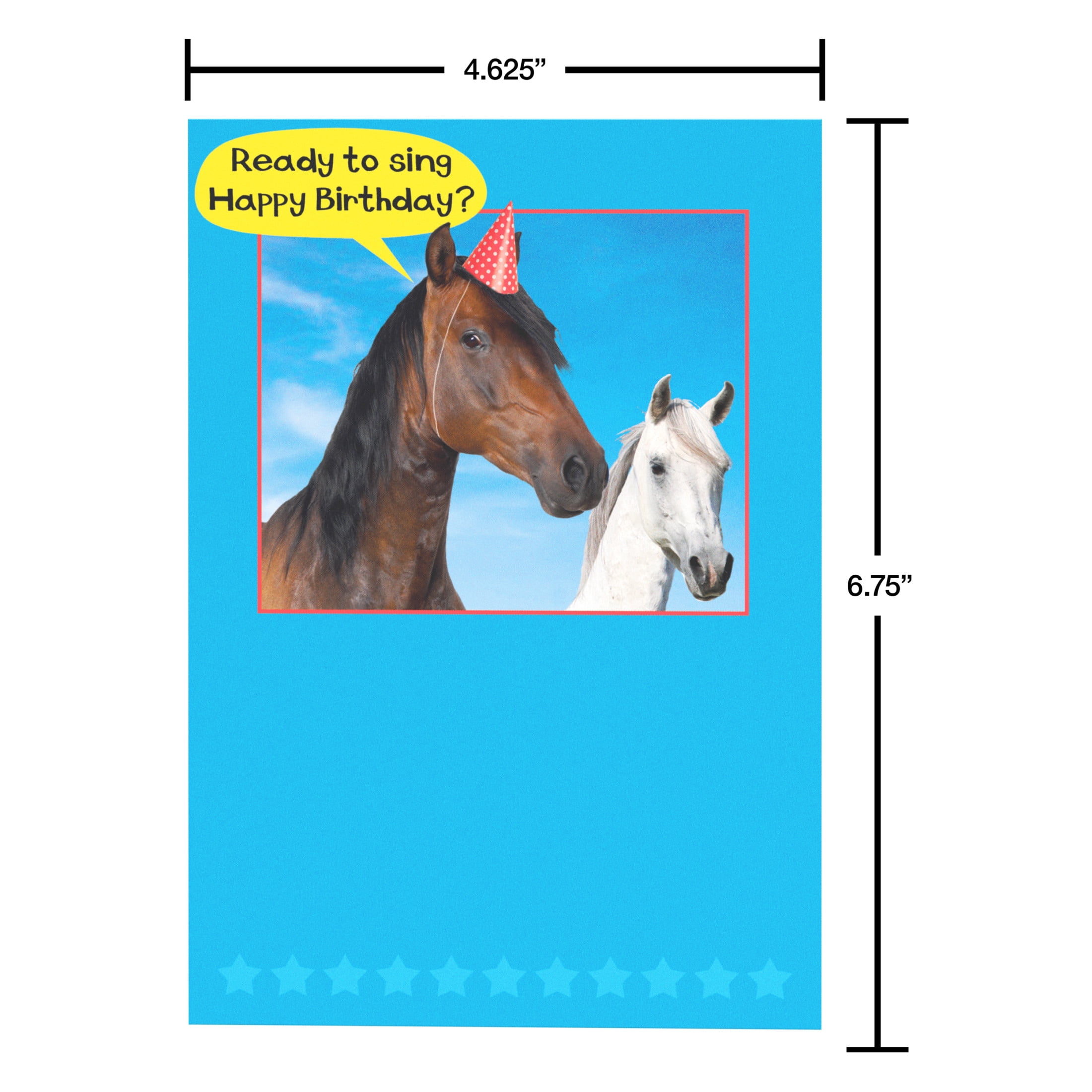 American Greetings Funny Birthday Card for Anyone (Singing Horses)