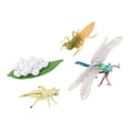 thumbnail image 1 of Figurines de Cycle de Vie Simulation Libellule pour Croissance des Cycles Cadeaux de Fête Enfants Libellule, 1 of 9