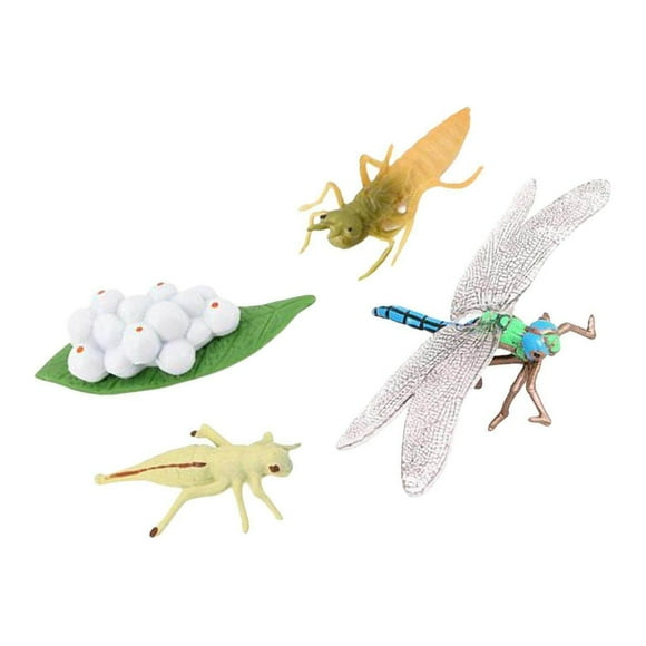 Simulation Life Cycle Figurines Dragonfly Figures for Cycles Growth Party Favors Kids Dragonfly