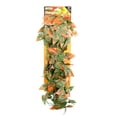thumbnail image 6 of Penn-Plax Reptology Plastic Hanging Vines for Reptiles – 24” Length – Green & Orange, 6 of 7