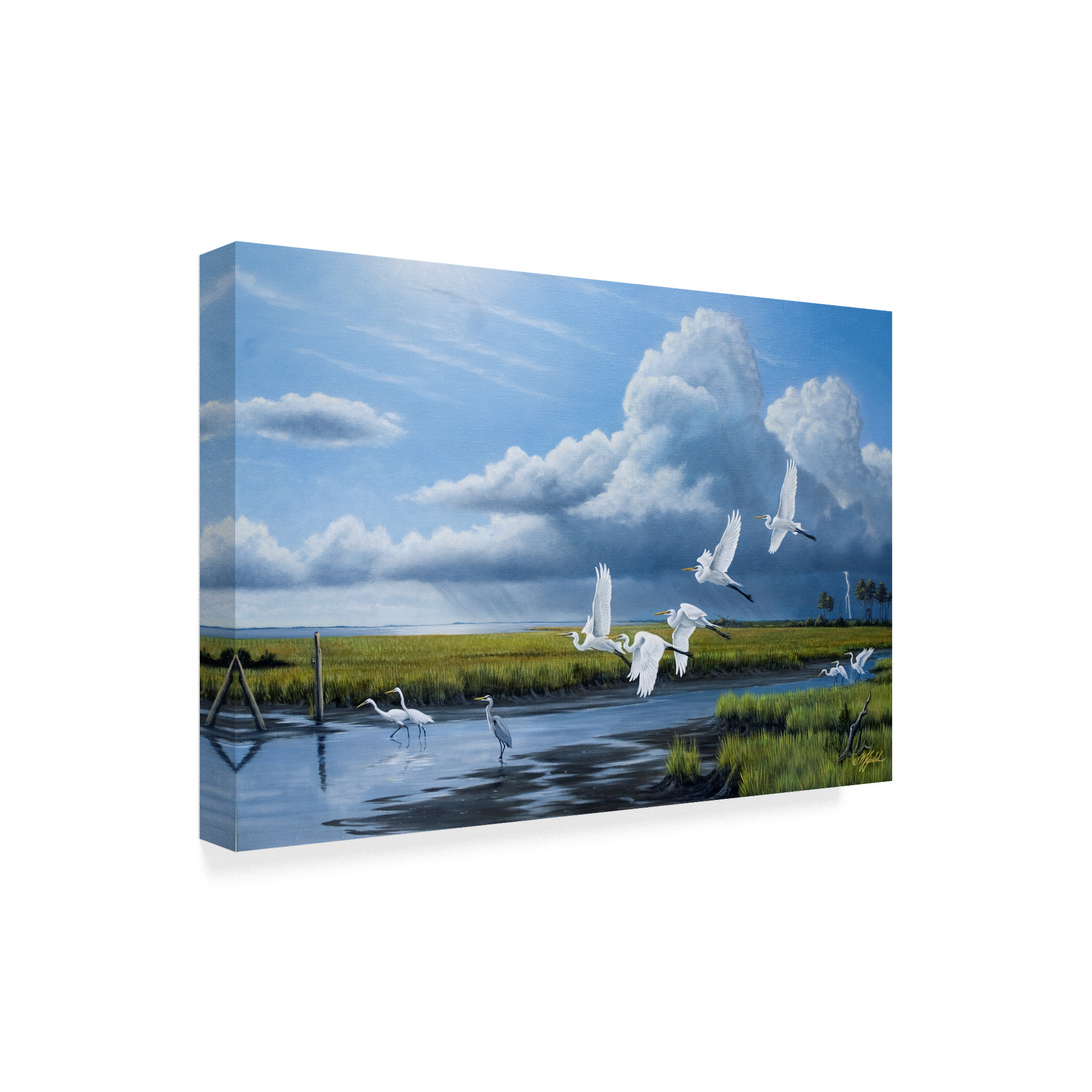 Trademark Fine Art 'Summer Storm Egrets' Canvas Art by Wilhelm Goebel