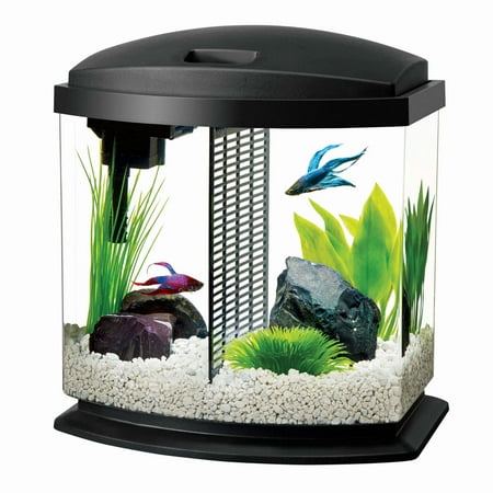 Aqueon BettaBow Aquarium LED Starter Kit, 2.5 Gallon, Black