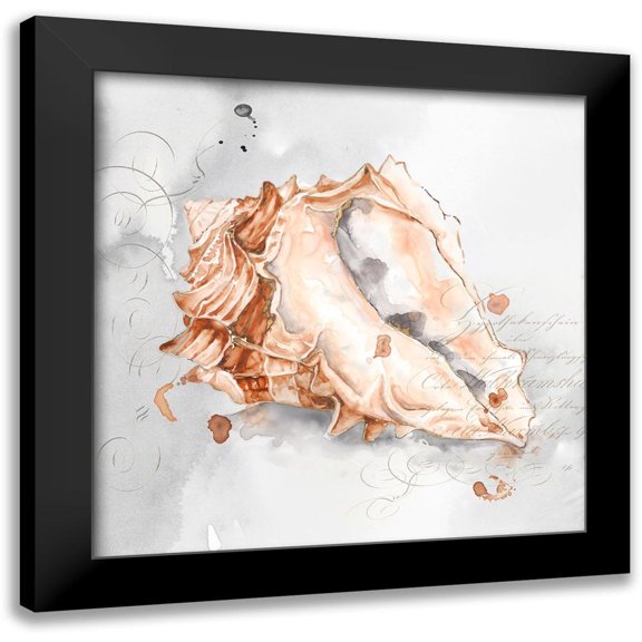 Watts, Eva 12x12 Black Modern Framed Museum Art Print Titled - Blush Shell III
