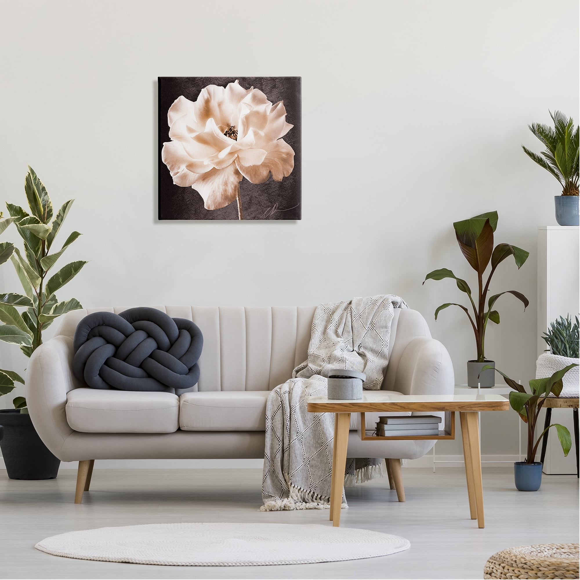 Stupell Industries Vintage Rose Photography Botanical & Floral Painting Gallery Wrapped Canvas Art Print Wall Art, 24 x 24