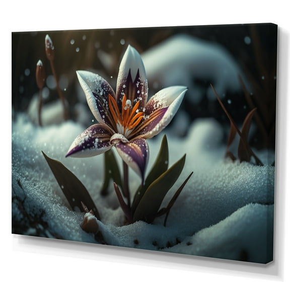 Designart A Blooming White And Purple Lily Flower In Winter I Canvas Wall Art