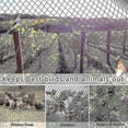 thumbnail image 5 of Heavy Anti Bird Netting Net Garden Fence And Crops Protective Fencing Mesh Anti Bird Deer Cat Dog Chicken, 5 of 5