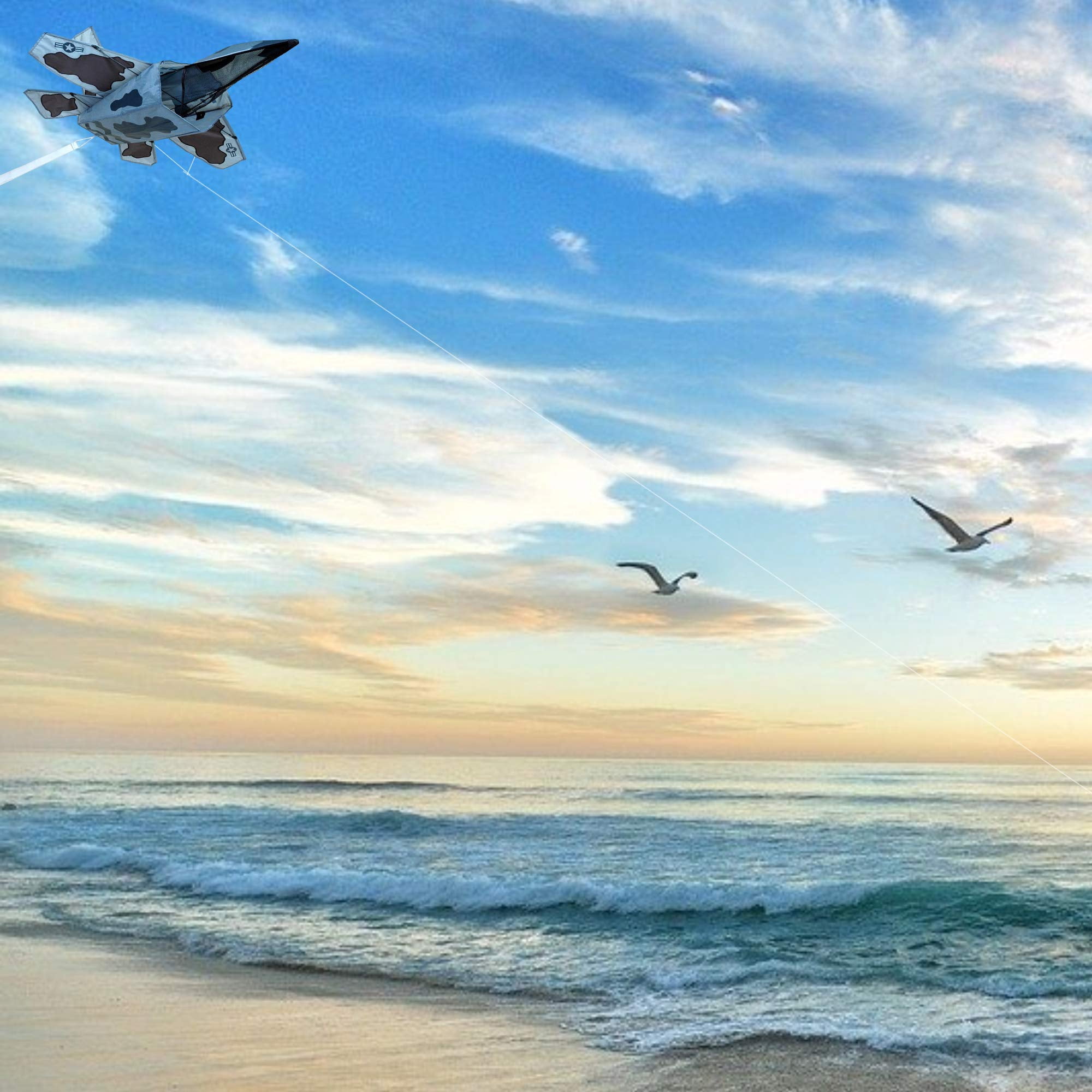 Premier Kites 3D Jet Kite Stealth Attack Design | Easy to Assemble and Easy to Fly 3D Kite | an Enjoyable Kite for Adults and a Thrilling Kite for Kids | Great 3D Kite for The Beach or Park