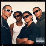 Locs Gangster Mad Dog Dark Black Shades Narrow Rectangle Sunglasses Matte Black