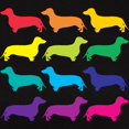 thumbnail image 3 of CafePress - Rainbow Dachshunds Women's Classic T Shirt - Women's Traditional Fit Dark T-Shirt, 3 of 4