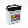 EverStart Lead Acid Power Sport Battery, Group Size 14AA2 12 Volt, 190 CCA
