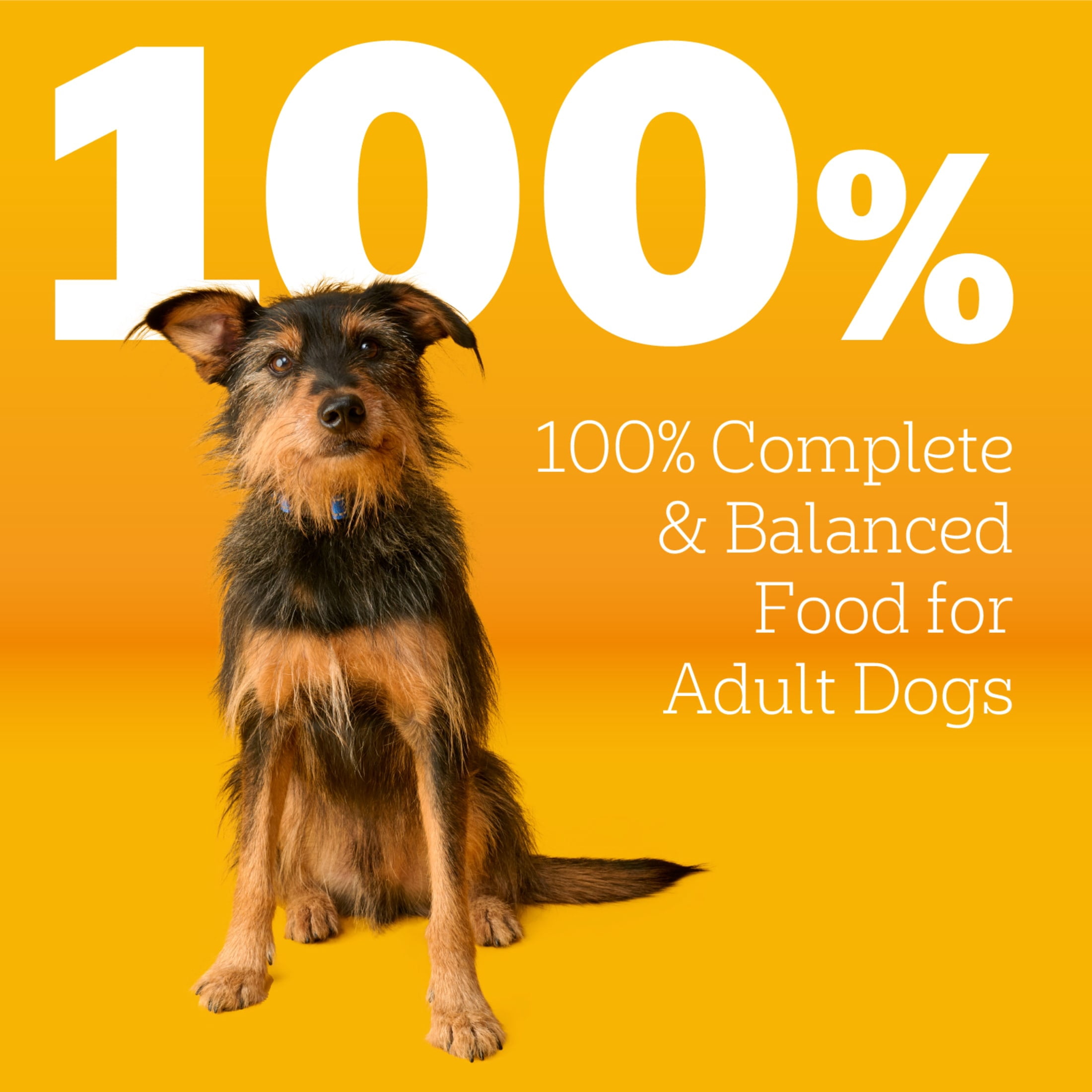 Pedigree Complete Nutrition Adult Steak & Vegetable Flavor Dry Dog Food, 40 lb Bag