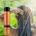 thumbnail image 3 of Sunny Isle Jamaican Black Castor Oil Extreme Hydrating Shampoo - Sulfate-Free, Daily Use - 10.1oz, 3 of 8