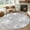 Gray, variant on Hallway Runner Rug 2x6 Ft, Grey Snowflake Christmas Non Slip Area Rugs for Entryway, Winter Xmas Snowflake Gray Modern Art Washable Low Pile Accent Carpet for Indoor Corridor Laundry Kitchen Bedside
