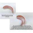thumbnail image 3 of nipocaio Bright white fake dentures cosmetic teeth orthodontic teeth, 3 of 5