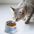 thumbnail image 3 of Bol d'Alimentation pour Chat avec Base Robuste Base Surélevée pour Intérieur et Extérieur Bol Unique en Acier Inoxydable Bols pour Chat Col Surélevé, 3 of 4