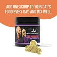 Jackson Galaxy Cat Probiotics with Enzymes