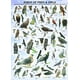 Eurographics  - Birds of Prey & Owls, 1000 PC Puzzle – image 2 sur 4