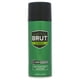 thumbnail image 1 of Desodorante Brut Brut Antiperspirant & Deodorant Spray Desodorante Unisex 6oz, 1 of 1