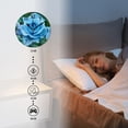 thumbnail image 4 of Battery Operated Analog Wall Clocks Non-Ticking Silent Modern Clock Decorative for Home,Office-Blue Rose With Water Droplets(10inch), 4 of 4