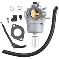 Carburetor Replacement 344cc 10.5HP 592223 G02558 1438Z 74301 13AN771G755