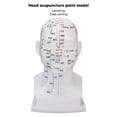 thumbnail image 3 of Acupuncture Point Head Model, Meridians Head Model Decoration Soft  For Massage Shop For Novice, 3 of 8