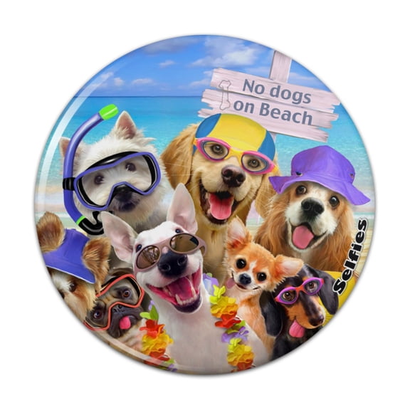 No Dogs on Beach Selfie Golden Retriever Westie Pug Pinback Button Pin