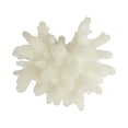 thumbnail image 5 of 6" x 4" White Polystone Small Textured Coral Sculpture with Clear Acrylic Base, by DecMode, 5 of 9
